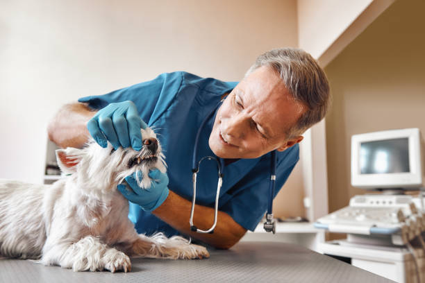 Best Emergency Tooth Extraction in Lincoln Village, OH